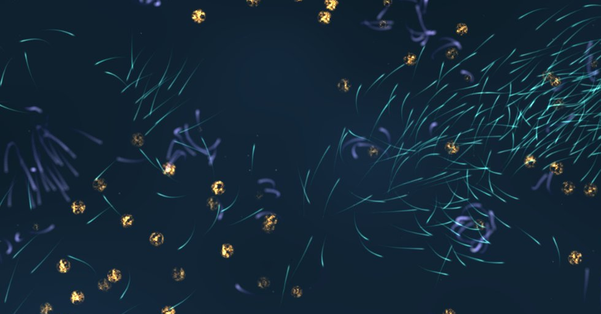 primitive simulation of ducks and resource patches